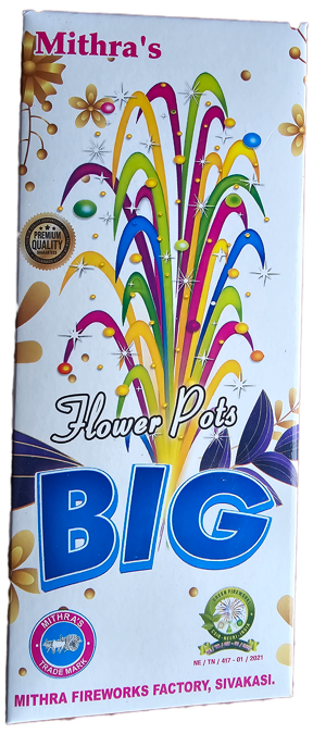 Flower Pots Big - 1box( 10 pieces)